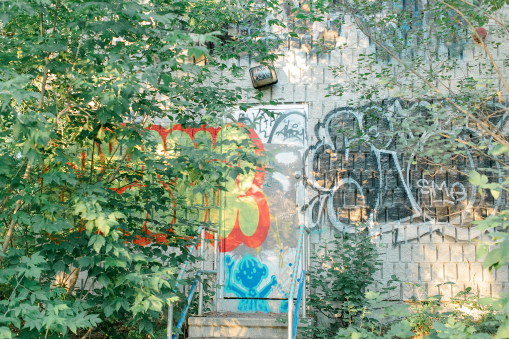 Graffiti in the Forest - Hidden Gem