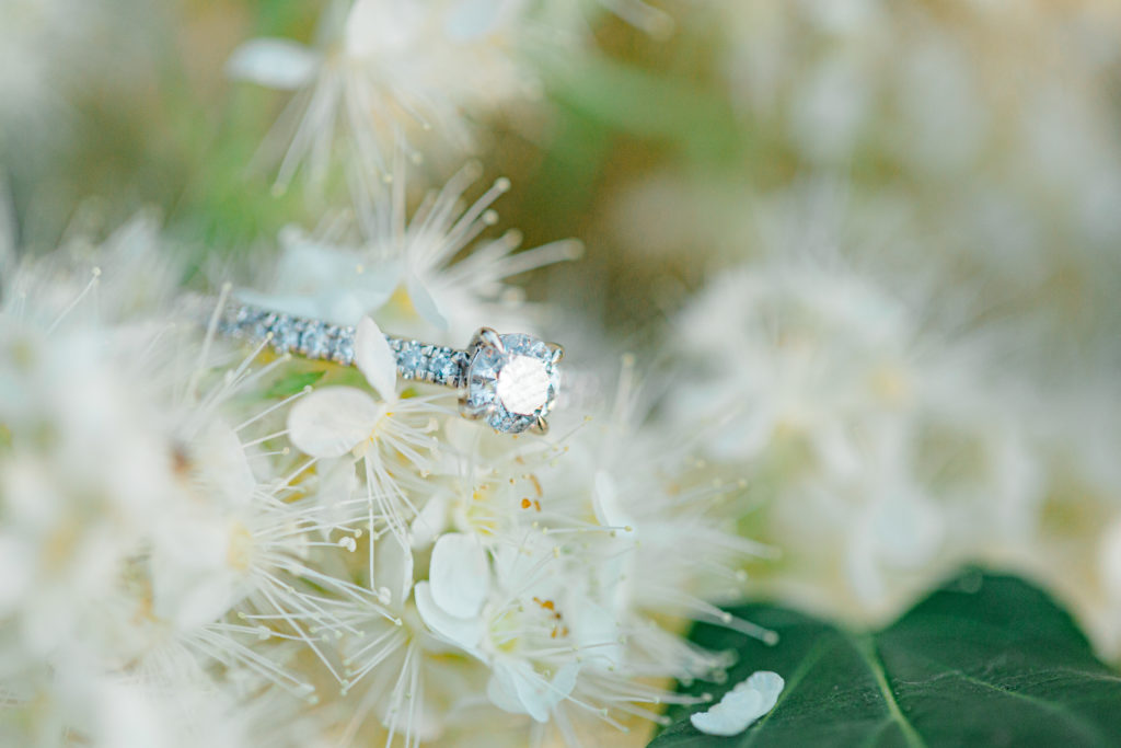 Ring Shot on Florals